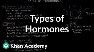 Types of hormones  Endocrine system physiology  NCLEXRN  Khan Academy [upl. by Jankell]