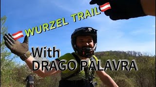 Wienerwald Wurzel Trail 2024 with Drago Palavra  Cube Stereo Hybrid 140 TM amp Giant Reign SX [upl. by Packton206]