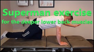 Low Back Pain Exercises  Superman Exercise How to properly do it [upl. by Akinit]