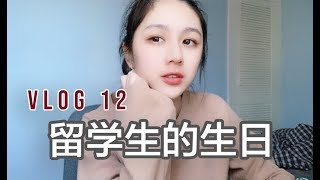 VLOG 12  跟我一起过生日 amp 生活整理  一部集中了荷兰好吃的VLOG  荷兰留学 [upl. by Noicpesnoc]