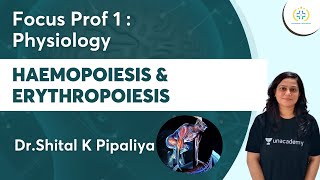 Haemopoiesis amp Erythropoiesis  Focus Prof 1 Physiology Unacademy Future Doctors  Dr Shital [upl. by Nirmak95]