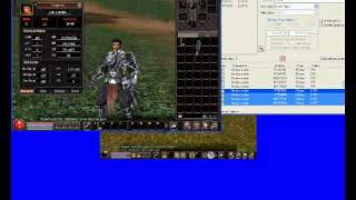 Metin2 Cheat Engine 53 [upl. by Niahs359]