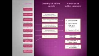 Study of Biopharmacy in Intrapulmonary route [upl. by Yankee70]