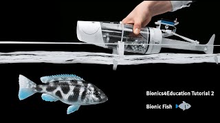 Tutorial 2 Bionics4Education – The Fin Ray Effect explained with the Bionic Fish [upl. by Ecirtaeb813]