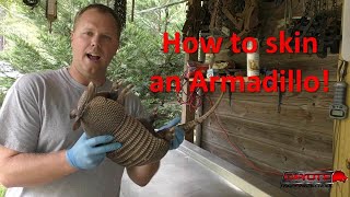 How to skin an armadillo [upl. by Macdonell]