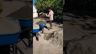 Shoveling 14 minus gravel for path landscaping gravel satisfying pdx shoveling pathinstall [upl. by Anilyx620]