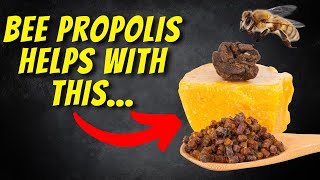 The Incredible Health Benefits of Bee Propolis [upl. by Biddy984]