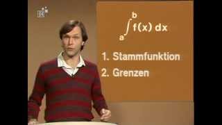 39 Das Integral  Telekolleg Mathematik [upl. by Zelten]