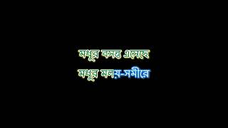 Madhur Basanta Eseche Sagar Sen Rabindrasangeet Karaoke with lyrics contact us for full karaoke [upl. by Eceinart502]