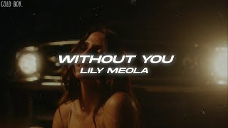 Lily Meola  Without You Lyrics [upl. by Urian410]