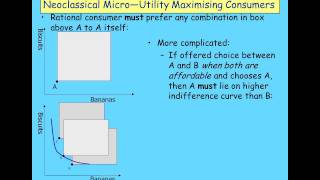 Keen Behavioural Finance 2011 Lecture01 Economic Behaviour Part 1 [upl. by Eceer393]