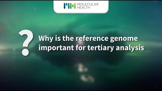 MH Guide lifts over and standardizes data to support both reference genomes [upl. by Nnylassej120]