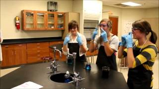 Lab Safety Rap Sardis High School [upl. by Darahs]