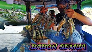 mancing udang di spot yang biasa angler kayong mancing hasilnya babon babon capit kuning [upl. by Shu805]