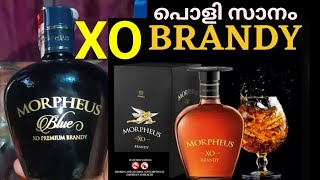 Morpheus XO Brandy Unboxing  Price  Army canteen liquor price list mallufoodandbeverages916 [upl. by Zulch653]