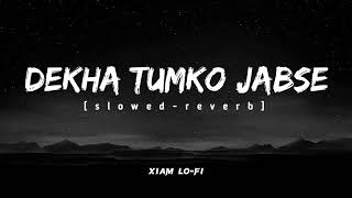 Deka Tumko Jabse  SlowedReverb experience  Deka Tumko Jabar [upl. by Suiratnod]