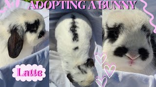 GETTING A BUNNY VLOG preparing for and bringing home my new rabbit 2023 meet Latte 💕🐇 [upl. by Kee]