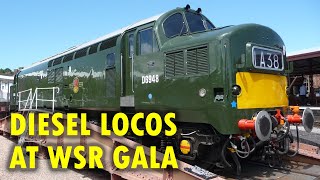 Classic Locomotives at West Somerset Railway Diesel Gala 2019 [upl. by Igal]