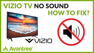 VIZIO TV No Sound Digital Optical  How to Fix it [upl. by Gemini915]