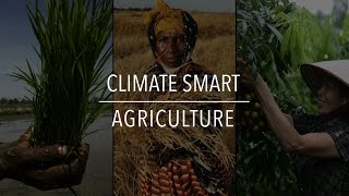 FAO Policy Series Climate Smart Agriculture [upl. by Ayak]