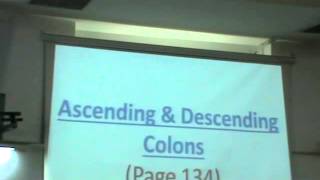 Dr Sherif Fahmy Da3m Abdomen 8 Appendix amp Colon [upl. by Aldric812]