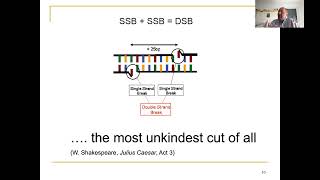 Lecture 6 part 1 DNA damage and repair [upl. by Nitsuga]