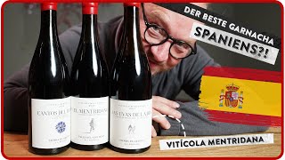 Der beste Garnacha Spaniens  Die neue Viticola Mentridana  5 MINUTEN FÜR WEIN AM LIMIT [upl. by Animsay]