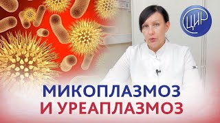 Микоплазма и уреаплазма Лечить или не лечить микоплазмоз и уреаплазмоз выявленные при беременности [upl. by Aindrea]