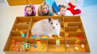 HAMSTER MAZE  Escape Challenge and Obstacle Course  Hamster Rosy [upl. by Potash380]