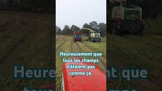 Ensilage 🌽 🌽 🌽 2024 ferme agriculteur johndeere bonheur fendt masseyferguson class [upl. by Dickens]