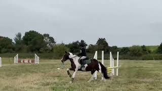 Showjumping 70cm One Day Event [upl. by Angid]