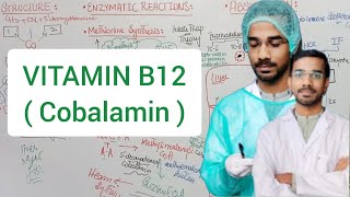 VITAMIN B12 Cobalamin biochemistry vitamin cobalamin [upl. by Rehoptsirhc]