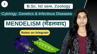 Cytology Genetics amp Infectious Diseases  MENDELISM मेंडलवाद  हिंदी में  Zoology [upl. by Enidualc]