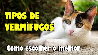 VERMÍFUGOS para gato  como escolher o MELHOR vermífugo  Gatil Hauser [upl. by Ellenig]