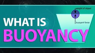 What is Buoyancy  Buoyant Force Definition  Examples  Explanation  Physics Concepts amp Terms [upl. by Belda]