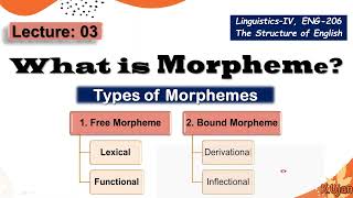 Morpheme  Types of Morphemes  Free Morphemes amp Bound Morphemes [upl. by Yddet100]