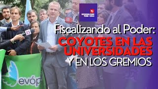 Fiscalizando al Poder Coyotes en las universidades y en los gremios [upl. by Wilterdink683]