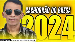 CACHORRÃO DO BREGA AO VIVO 2024 [upl. by Sassan]