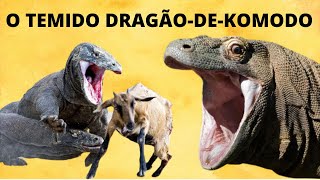 DRAGÃODEKOMODO O LAGARTO VENENOSO GIGANTE DAS ILHAS DA INDONÉSIA [upl. by Seidel]