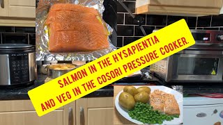 Salmon in the HYSapientia and veg in the cosori pressure cooker [upl. by Nemracledairam184]