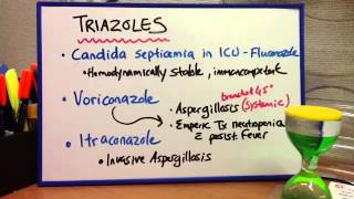 Antifungals  Amphoteracin B Triazoles Echinocandins [upl. by Odelinda586]