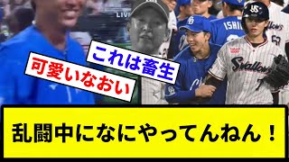 【お前らはなにやってんねん！】ヤクルトVS中日の乱闘のほかの選手の様子【反応集】【プロ野球反応集】 [upl. by Jenica]