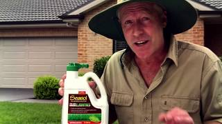 Seasol How to Lawn Videos with Nigel Ruck  No 3 of 5 Seasonal Lawn Care [upl. by Mccoy]