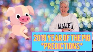 The year of the PIG 2019 Chinese animal horoscope for the year 2019 [upl. by Kcuhc]