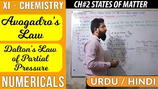 Avogardros Law  Daltons Law of Partial Pressure  Numericals  CH2  XI  Chemistry  STBB [upl. by Ilrahc145]