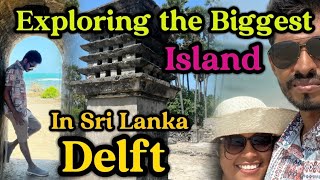 ඩෙල්ෆ් quotDelft Island Odyssey Exploring Sri Lankas Forgotten Wonderland  Travel Vlogquot island [upl. by Ame]