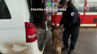 Controale de amploare la frontierele din Botoșani Zeci de polițiști de frontieră și echipaje canine [upl. by Antoni]