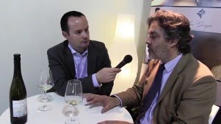 Guido Folonari Philarmonica Vinitaly 2016 Beverfood com Intervista [upl. by Arabella]