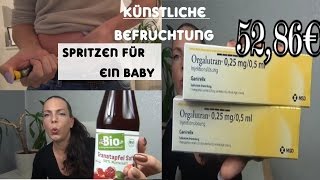 Kinderwunsch 4111 ZyklustagSpritzen für ein Baby Hormon Tagebuchicsi [upl. by Ariahs]