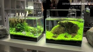 Aquascaping  Planted Aquariums of Aqua Design Amano Deutschland Heimtiermesse 2013 Hannover [upl. by Leunas916]